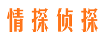 大观捉小三公司